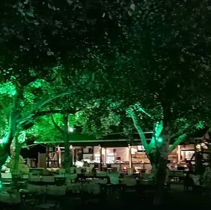 Hara'S Houses A فلوغيتا المظهر الخارجي الصورة